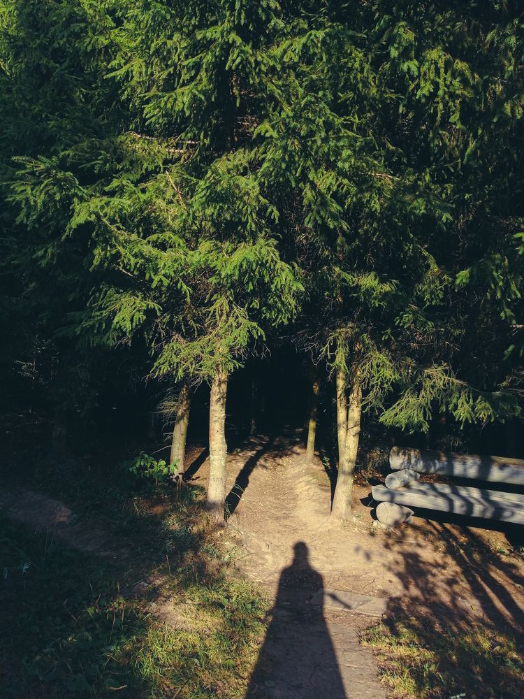 Photograph by Serafima Futliarova