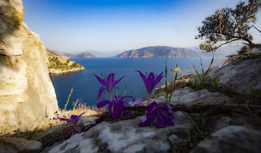 Photograph by Александр