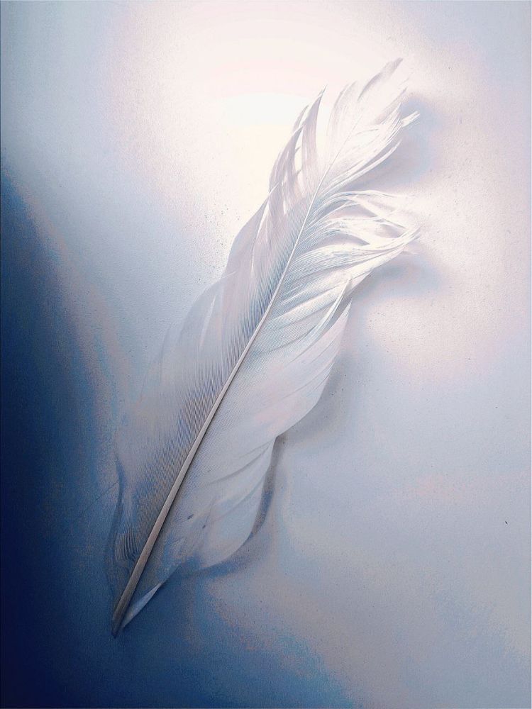 Photograph by Марина Хохрякова