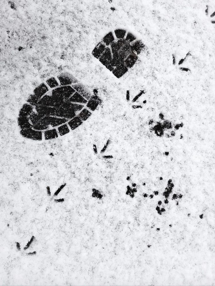 Photograph by Марина Хохрякова