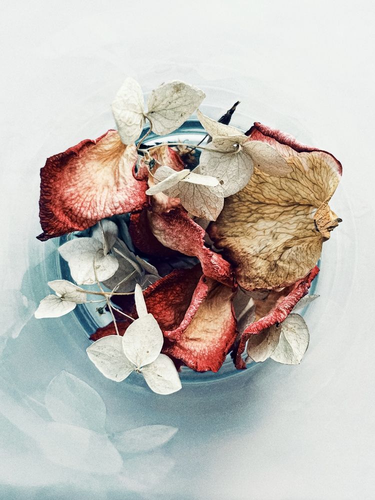 Photograph by Евстратова Оксана