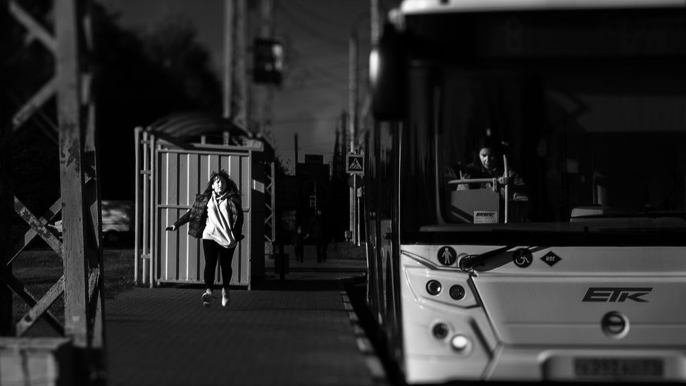 Photograph by Алексей Семячкин