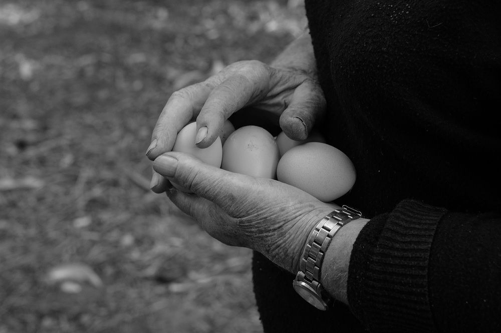 Photograph by Zouridakis Antonis