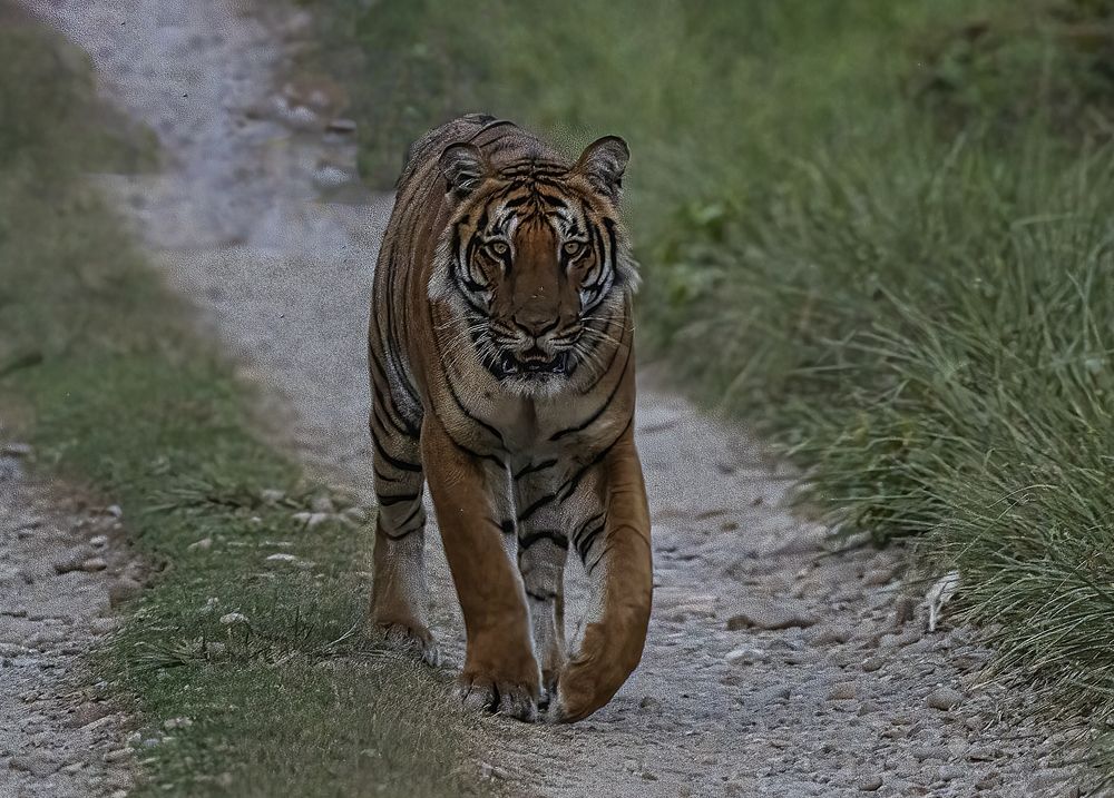 Photograph by Ebenazar Isaac