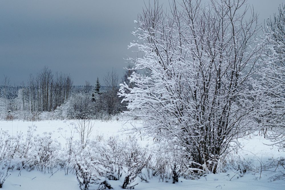 Photograph by Дымова Вера