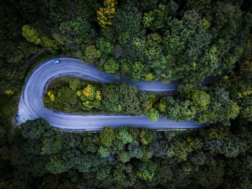 Aerial Forest Road Shot