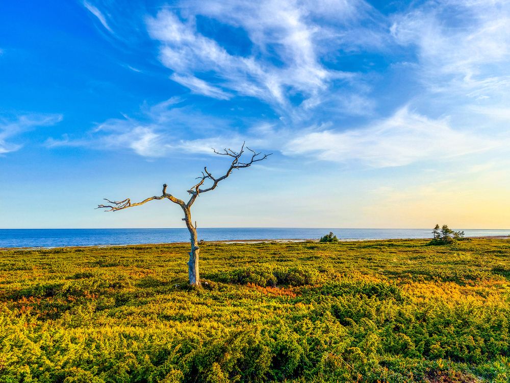 Photograph by Галина Андреева