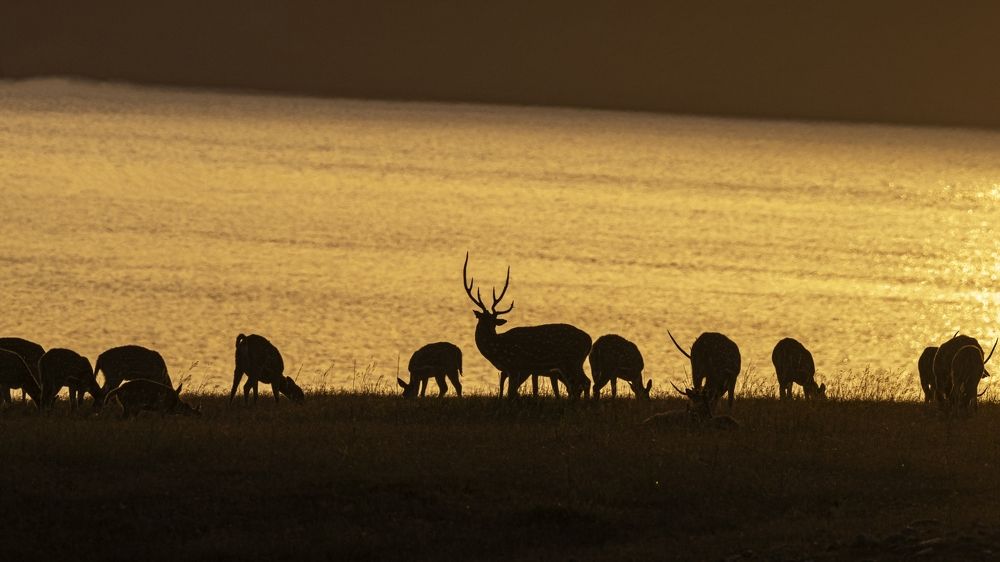 Photograph by Ebenazar Isaac