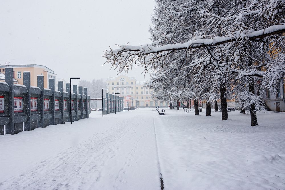 Photograph by Sergey Lebedev