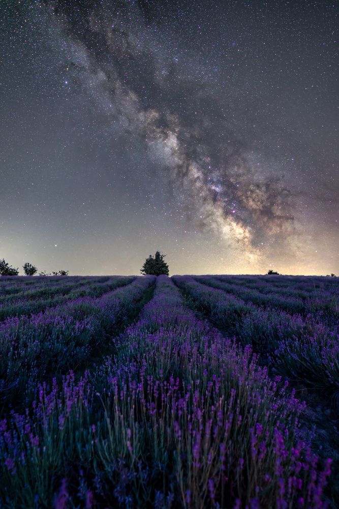 Photograph by Davide Torchia