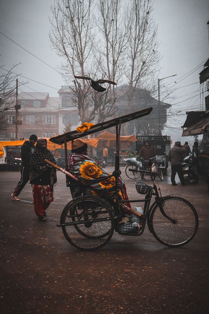 Some are free some want to be