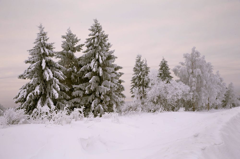Фотография автора Юрий Кетель