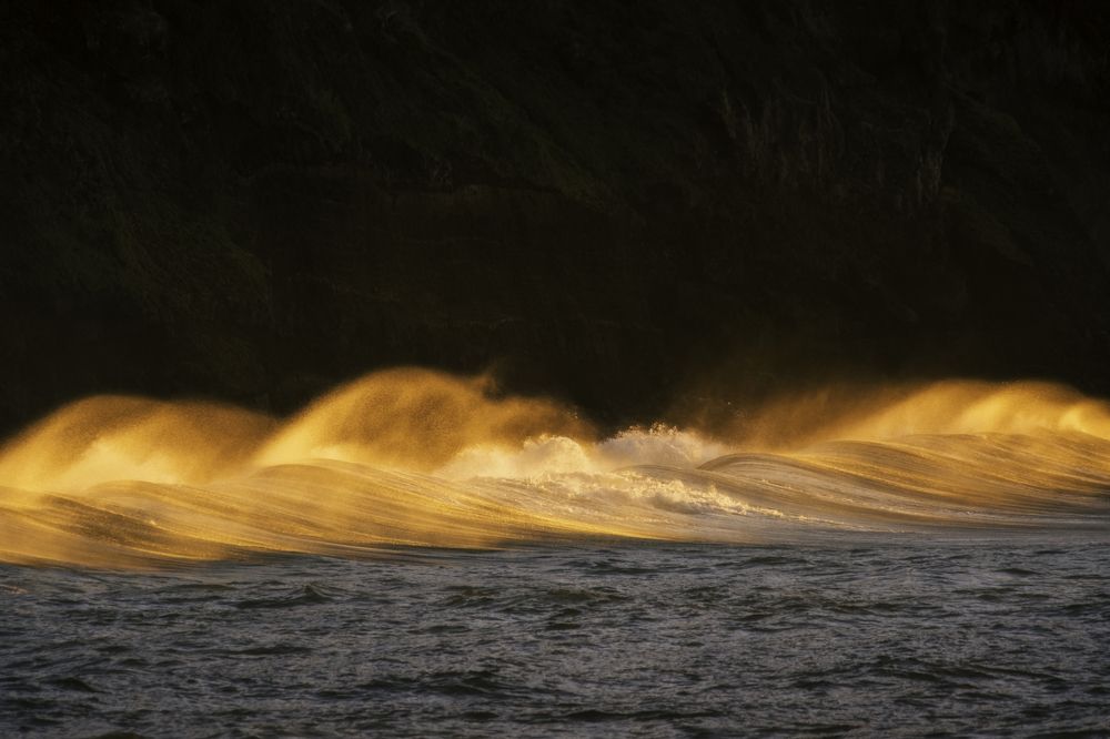 Photograph by Pedro Cunha