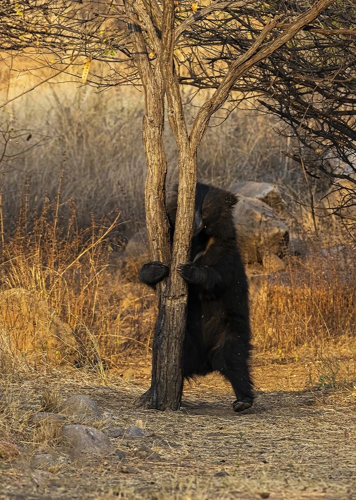 Photograph by Ebenazar Isaac