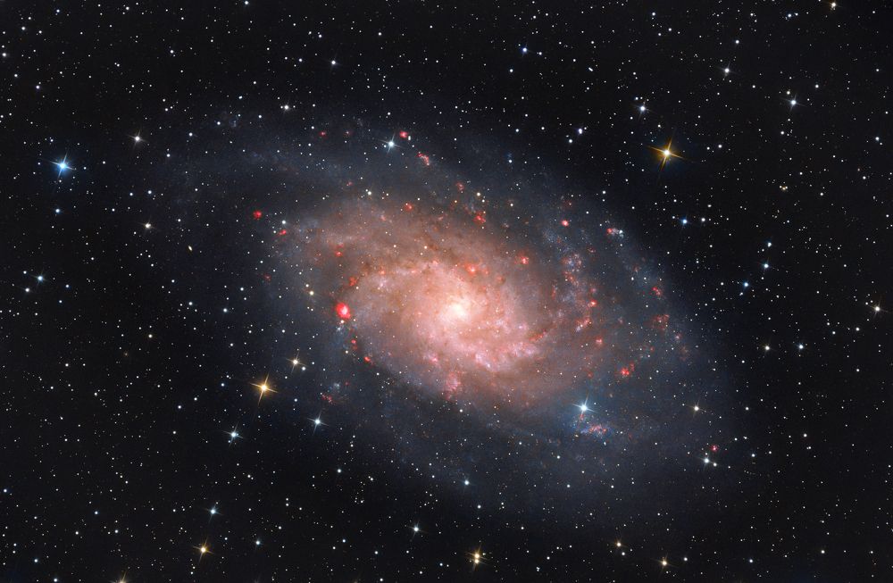 Photograph by Поляков Алексей