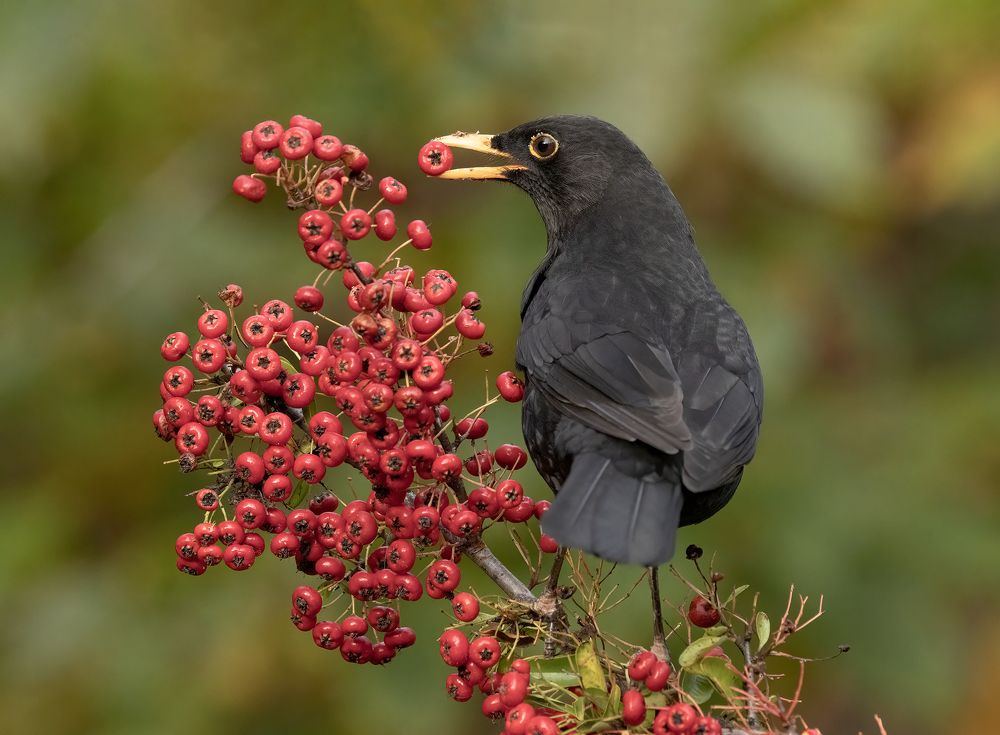 Фотография автора MARIA KULA