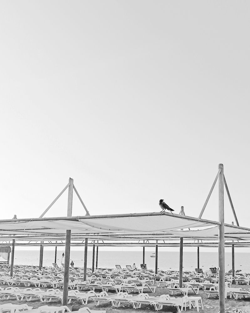 Photograph by Светлана Барабанова