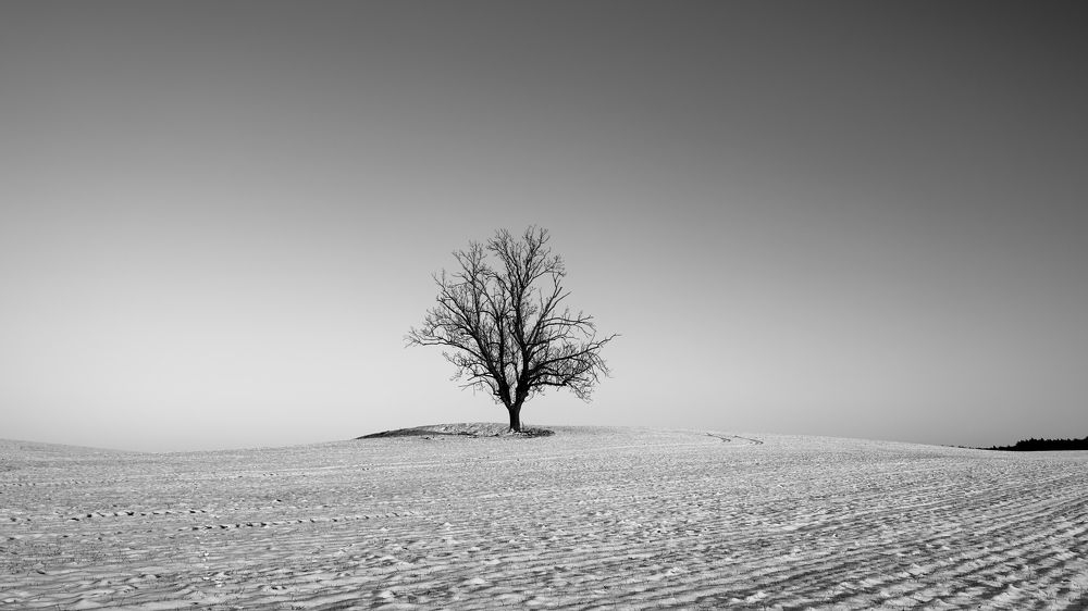 Photograph by Radek Holy