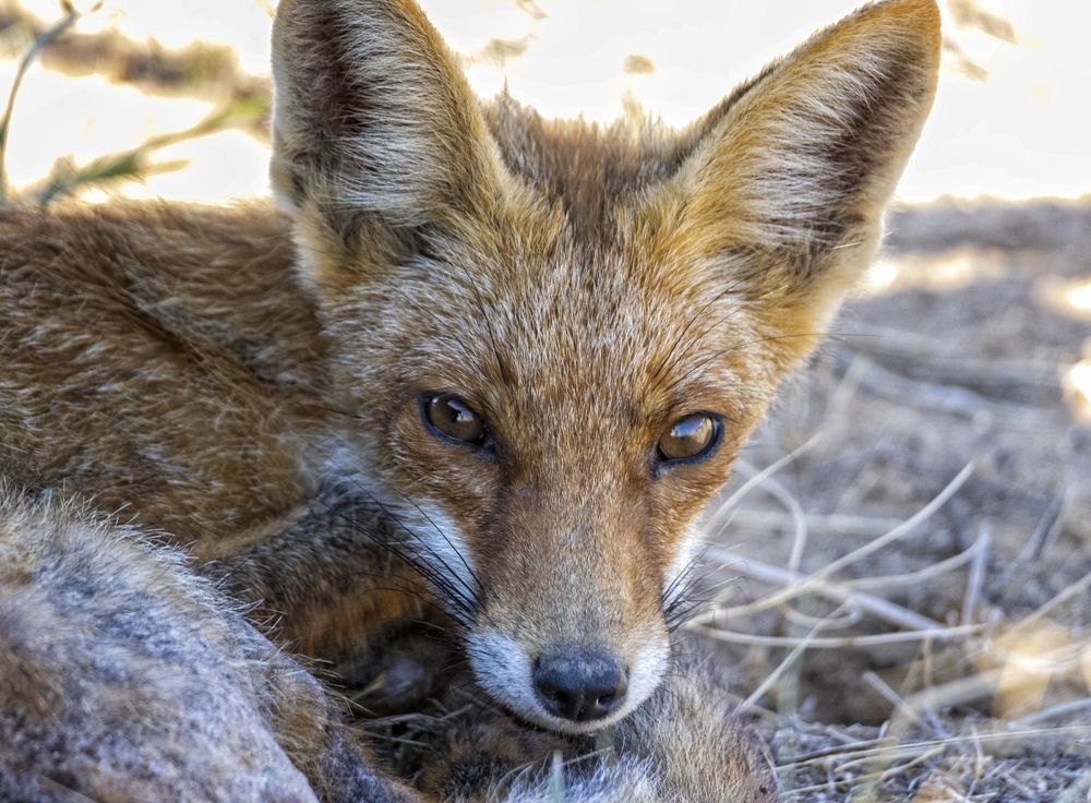 Photograph by Анатолий Салтыков