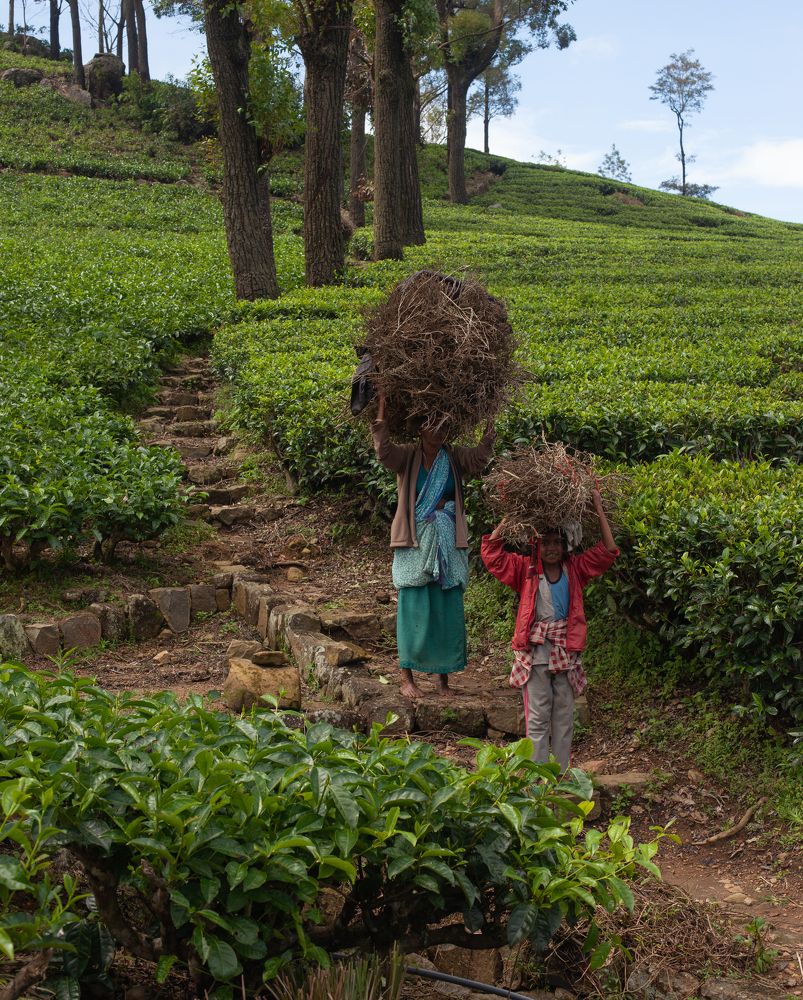 Photograph by Наста