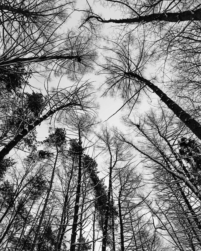 Photograph by Светлана Барабанова