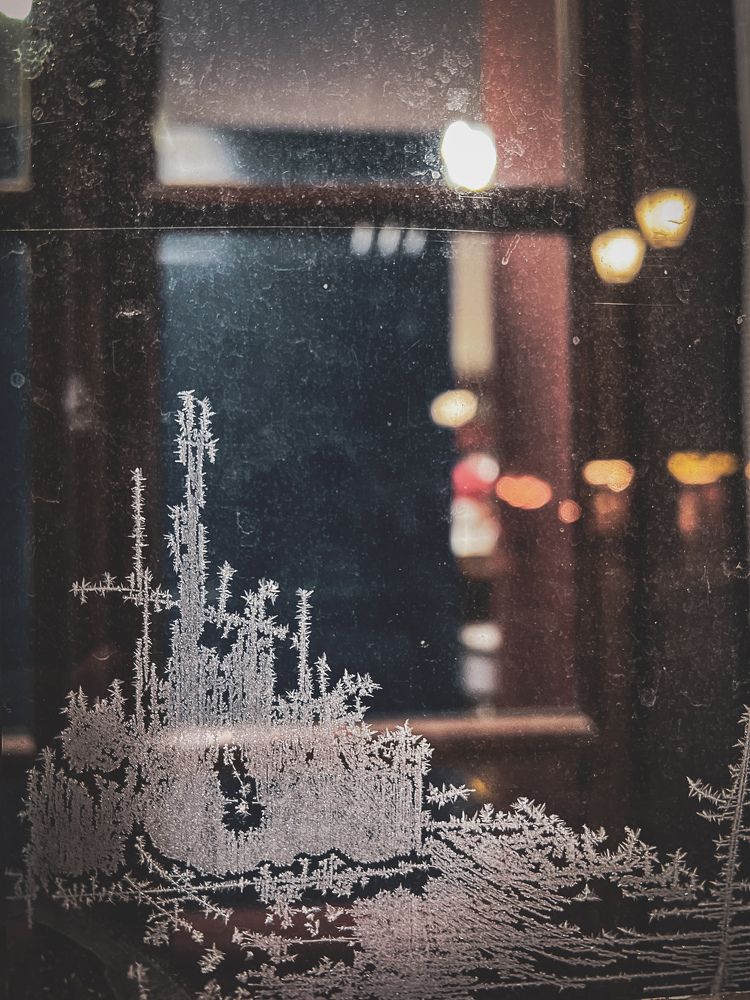 Photograph by Elvira