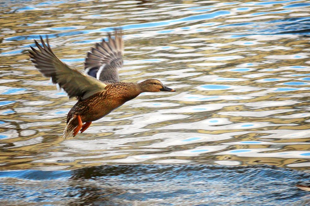 Photograph by Vitaliy Saposhnikov