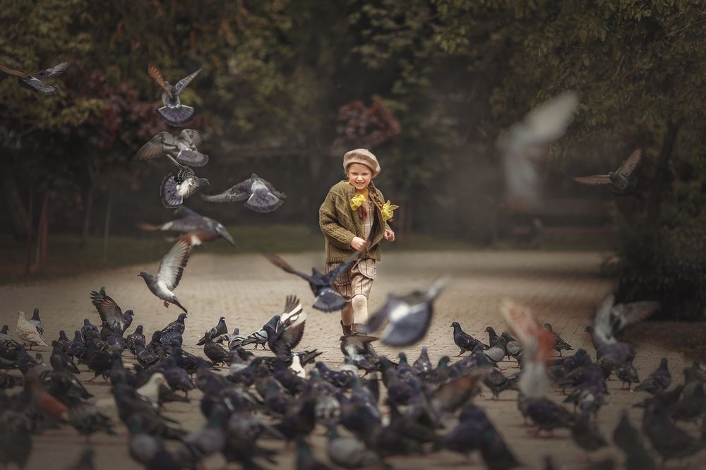 Photograph by Наталья Водовозова