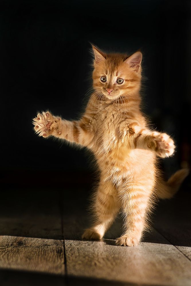 Photograph by Яна Панова