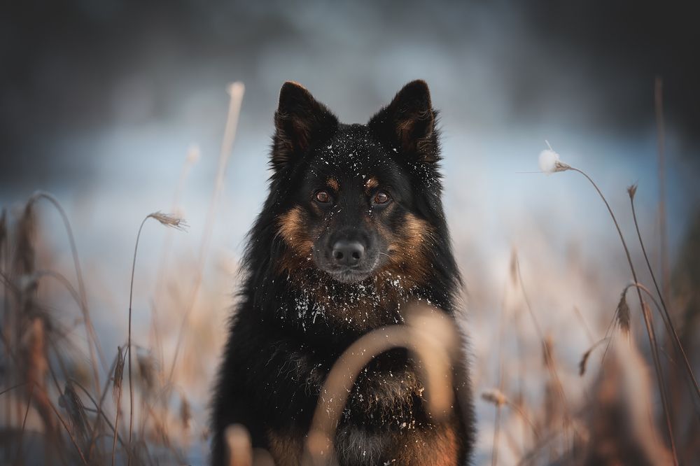 Photograph by Людмила Богуш