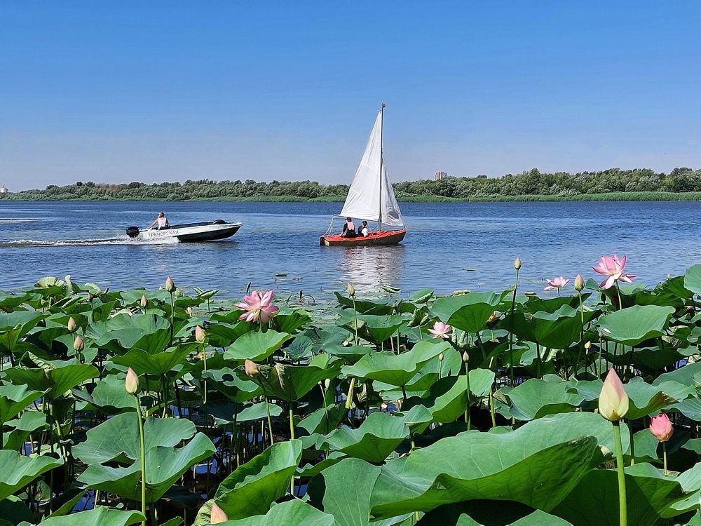 Photograph by Нина Паршина