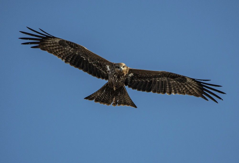 Photograph by Dagmara Giller