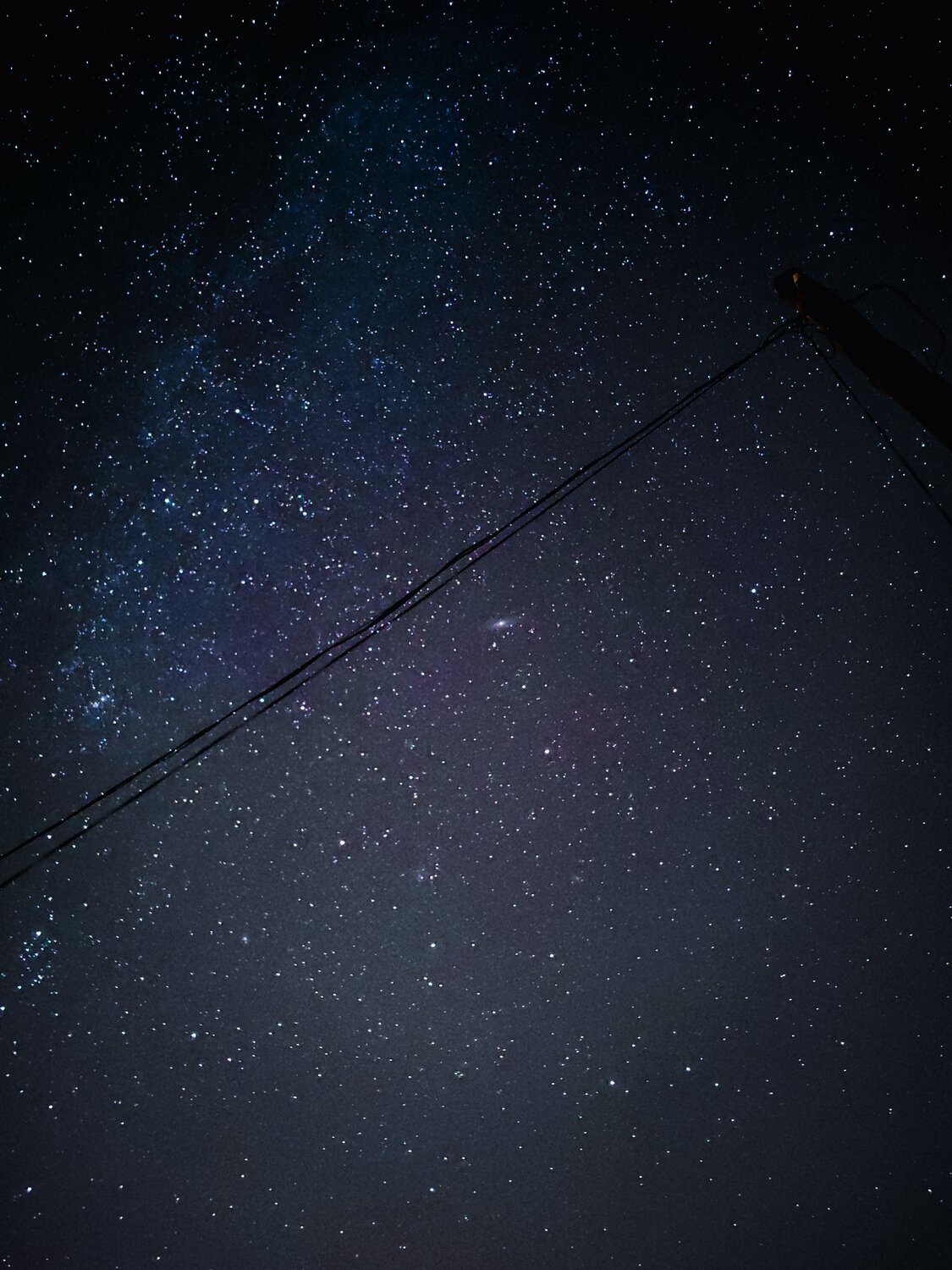 Photo #10402196