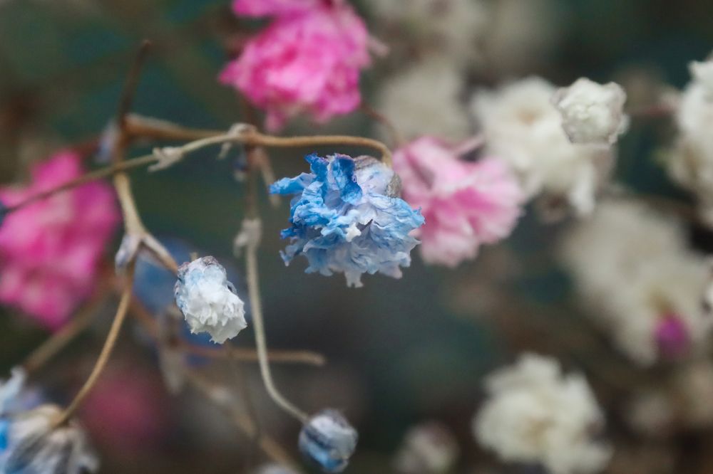Photograph by Евгения Стриженова