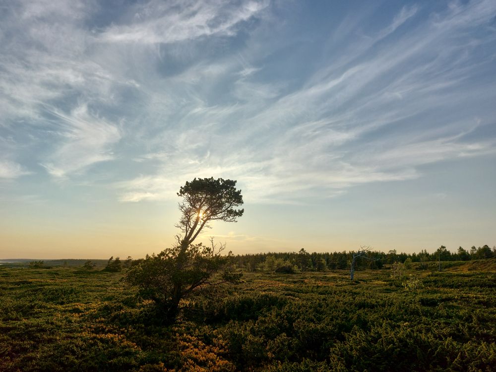 Фотография автора Андрей Русских