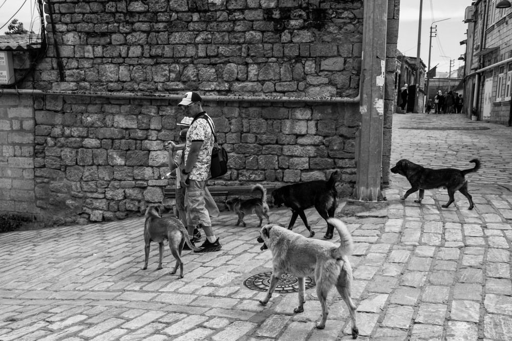 Photograph by Marina Gerasimova