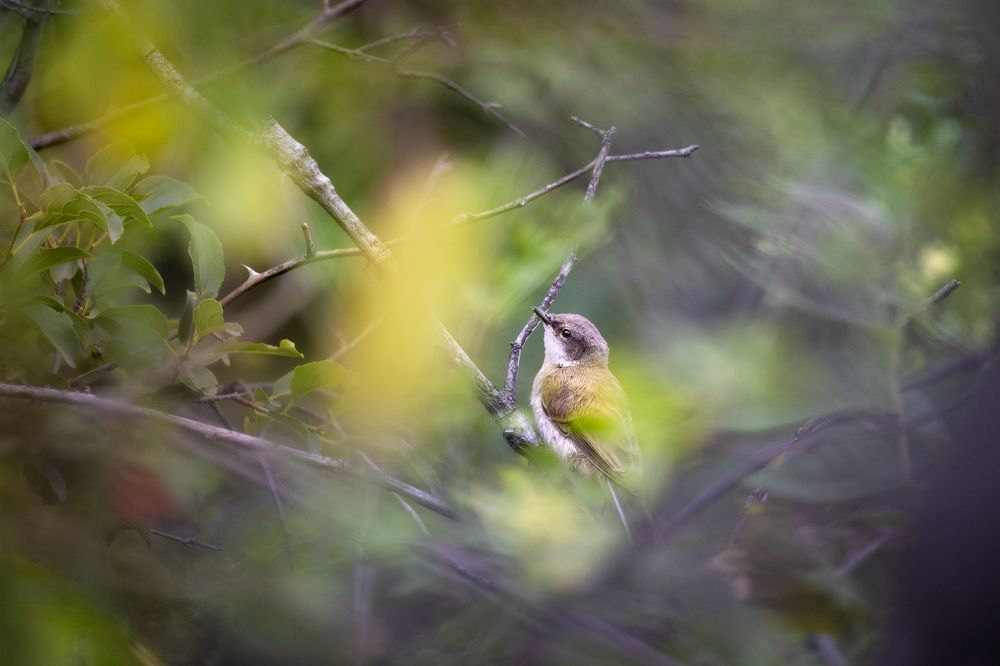 Photograph by Павел Грибцов