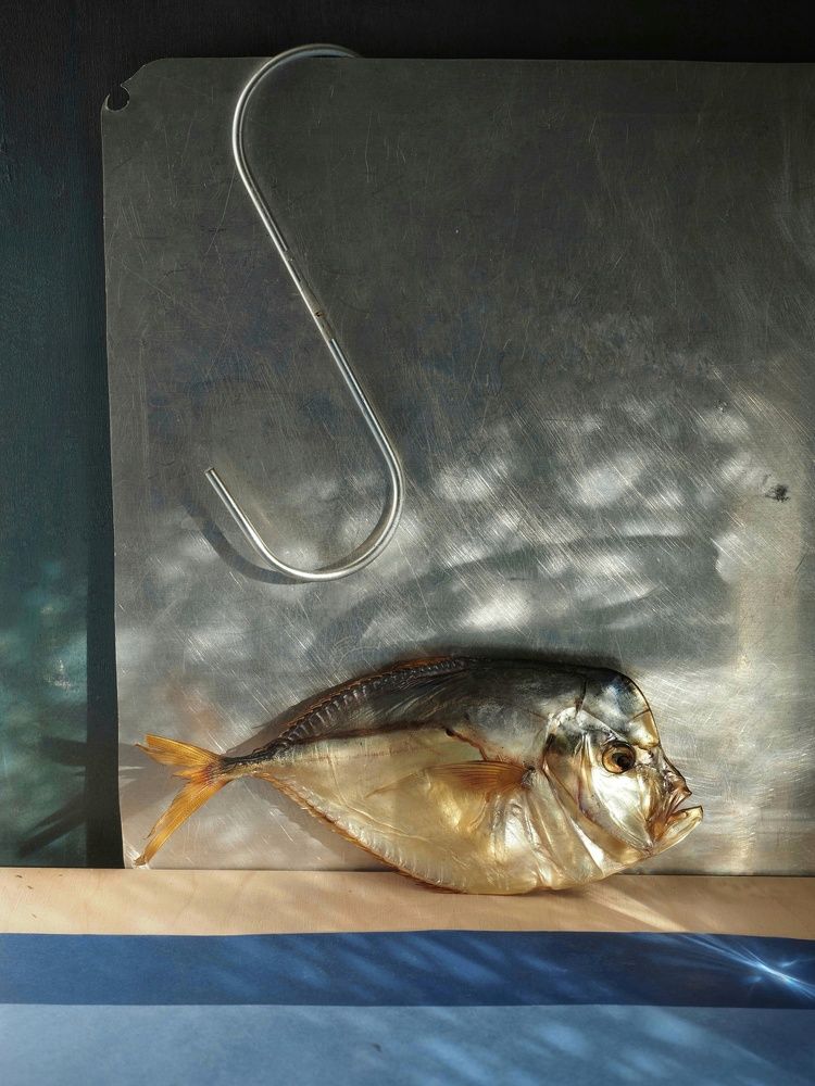 Photograph by EKATERINA