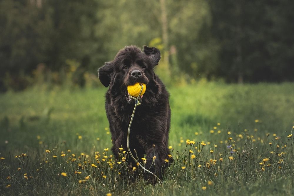 Фотография автора Мороз Ирина