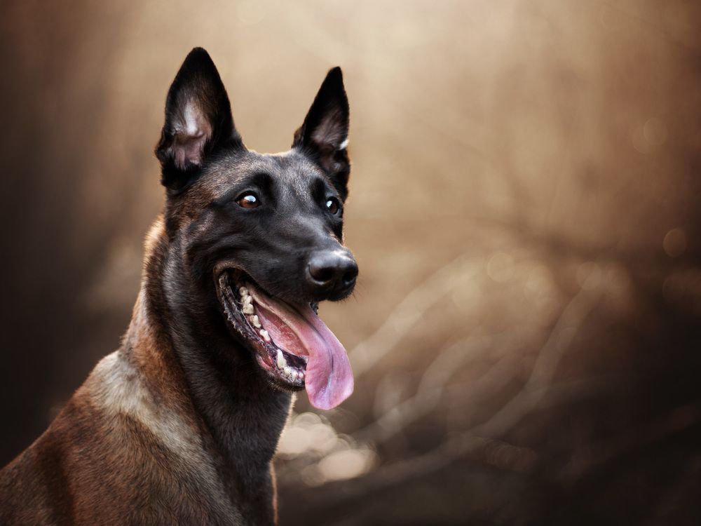 Photograph by Dorota Hnatová