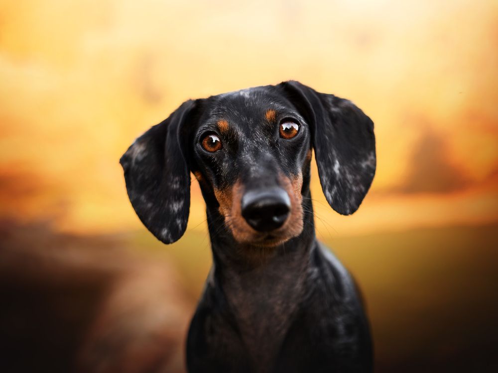 Photograph by Dorota Hnatová