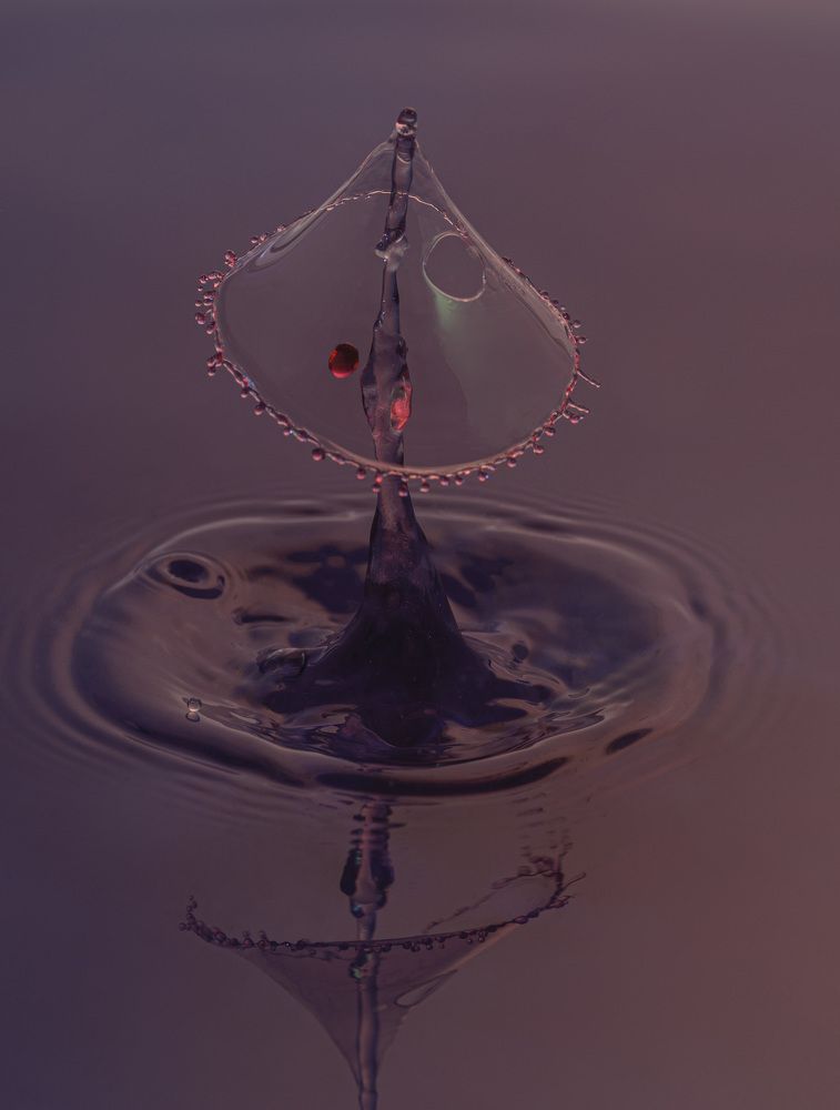 Photograph by Армашов-Тельник Григорий