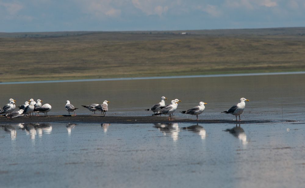 Photograph by Алексей Арестов