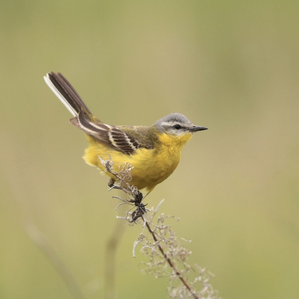 Photograph by Артемий