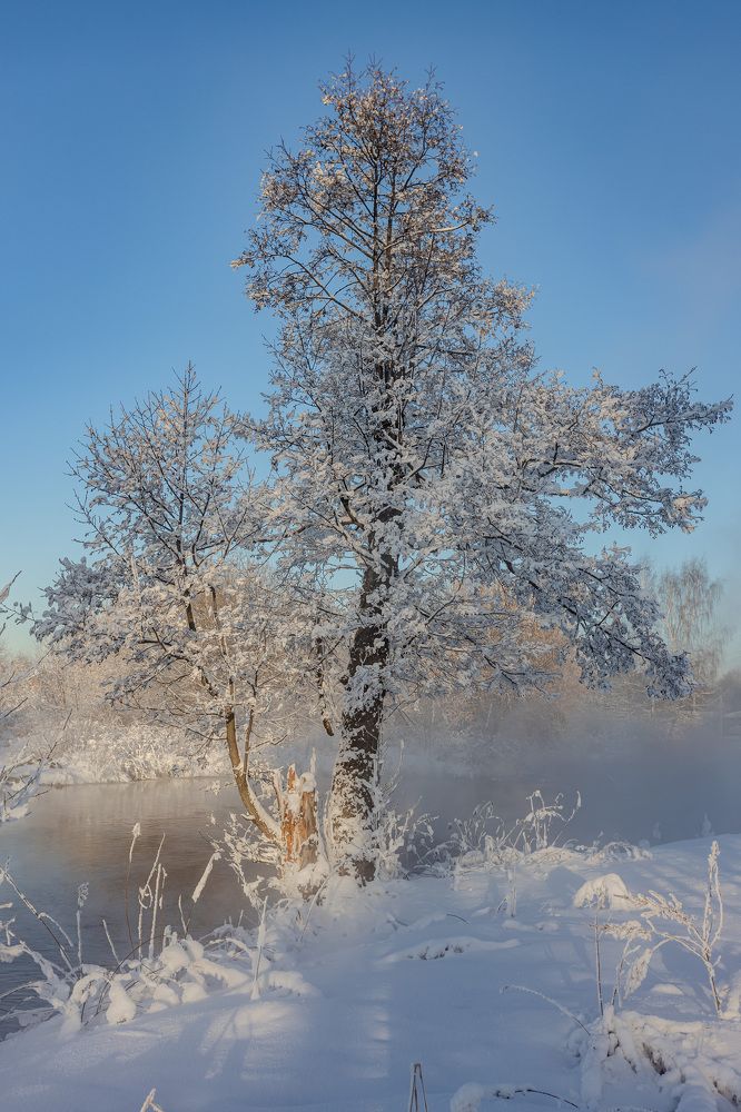 Фотография автора Rom@shkin