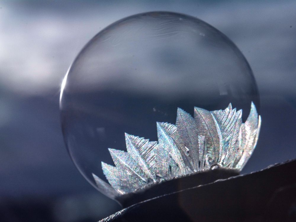 Photograph by Людмила Прибылова