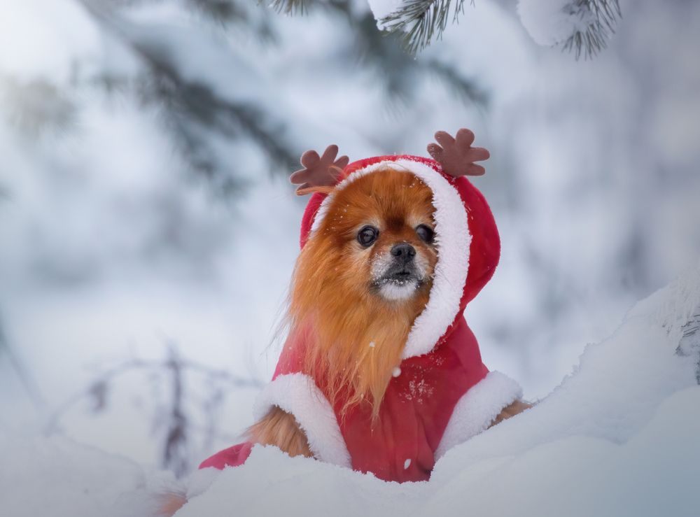 Photograph by Дарья