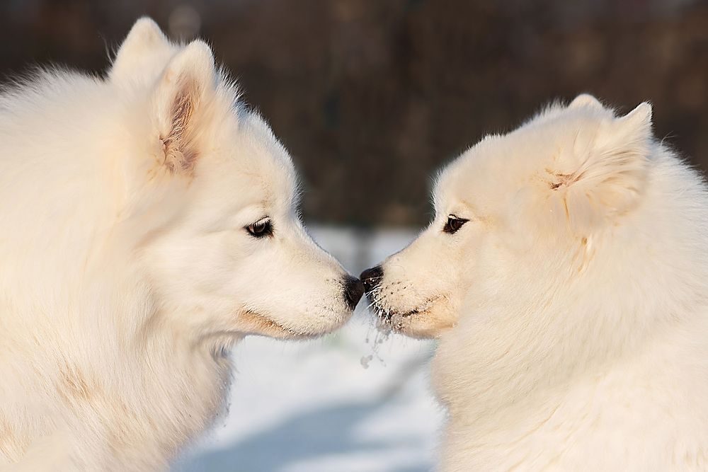 Photograph by Яна Панова