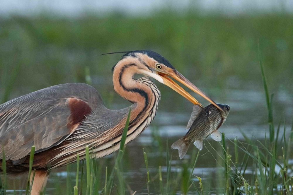 Photograph by Цветков Сергей