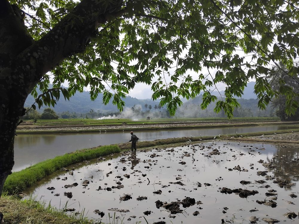 In A Morning Cutting Grass